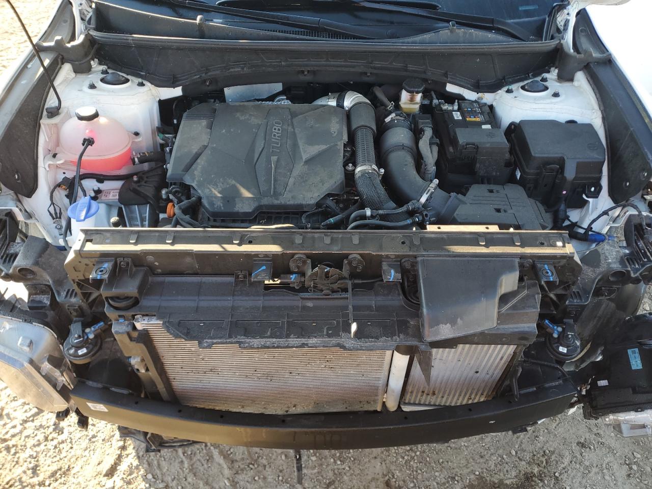 2024 Hyundai Santa Cruz Limited VIN: 5NTJEDDF1RH109404 Lot: 90131665