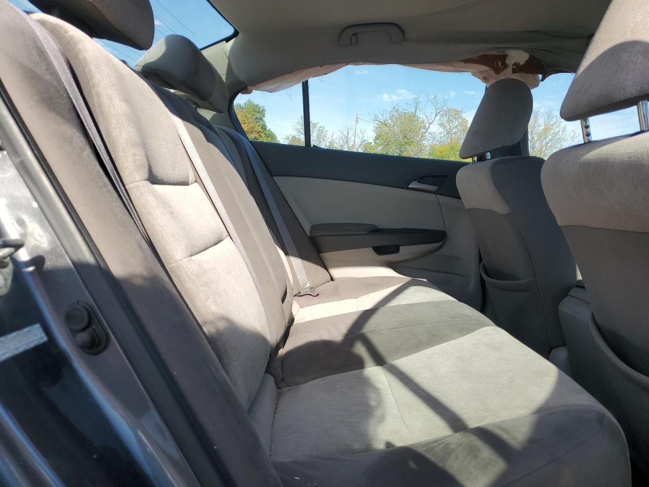 2010 Honda Accord Lx VIN: 1HGCP2F30AA166456 Lot: 85349005