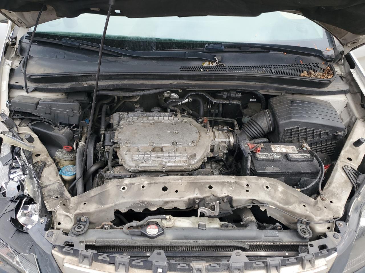 2006 Honda Odyssey Touring VIN: 5FNRL38816B109037 Lot: 84987505