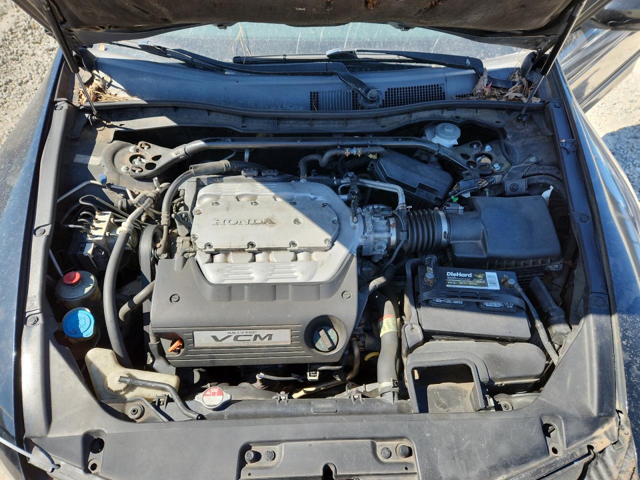 2008 Honda Accord Exl VIN: 1HGCS22868A005488 Lot: 86100885