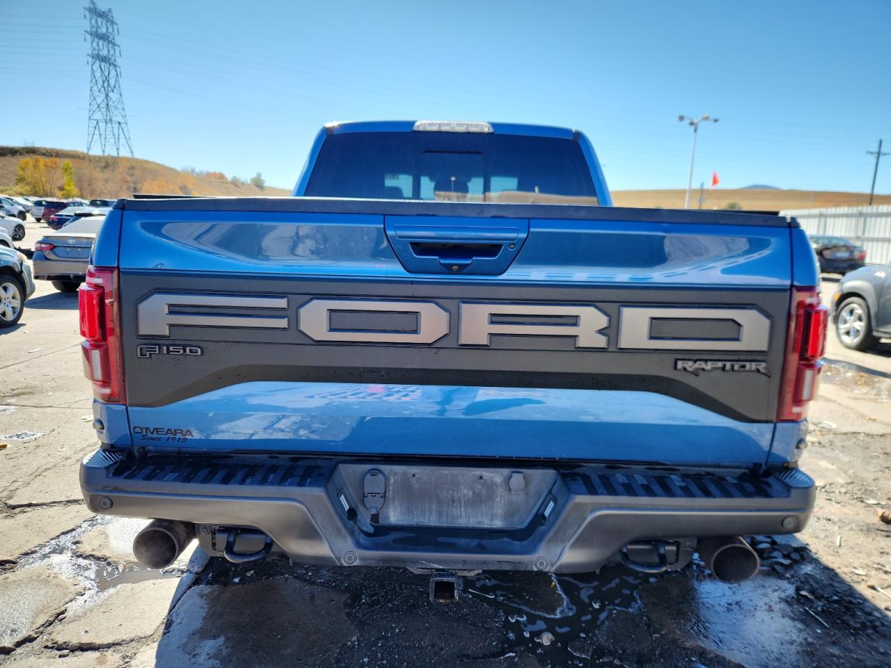 2019 Ford F150 Raptor VIN: 1FTFW1RG1KFB17732 Lot: 90109955