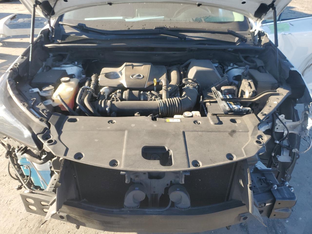 2019 Lexus Nx 300 Base VIN: JTJBARBZ5K2210801 Lot: 86620085