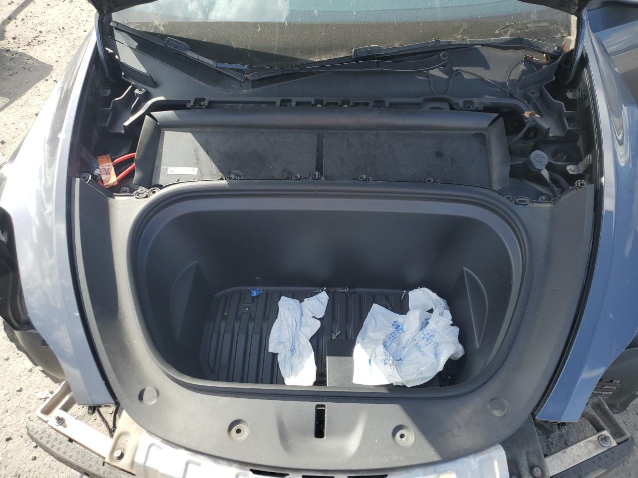 2023 Tesla Model Y VIN: 7SAYGDEE0PF842135 Lot: 84906025