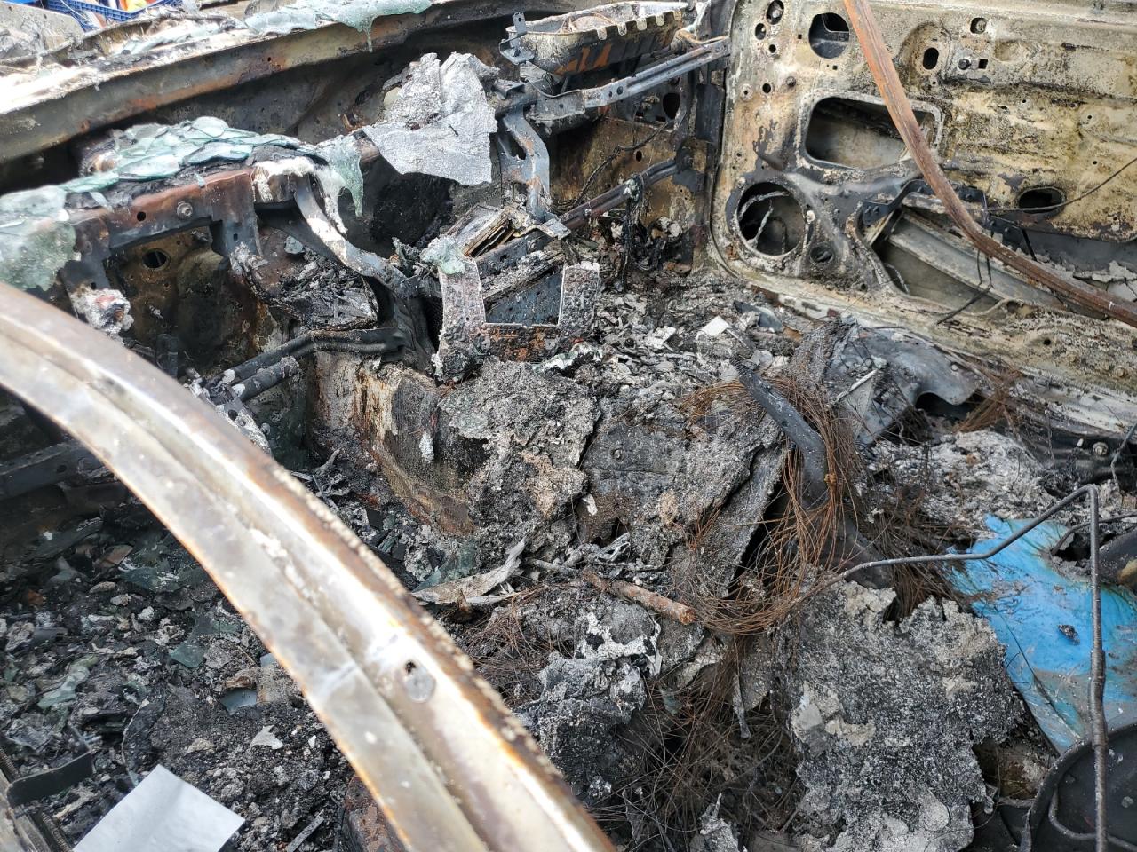 2017 Ford Mustang VIN: 1FA6P8AMXH5255345 Lot: 85514545