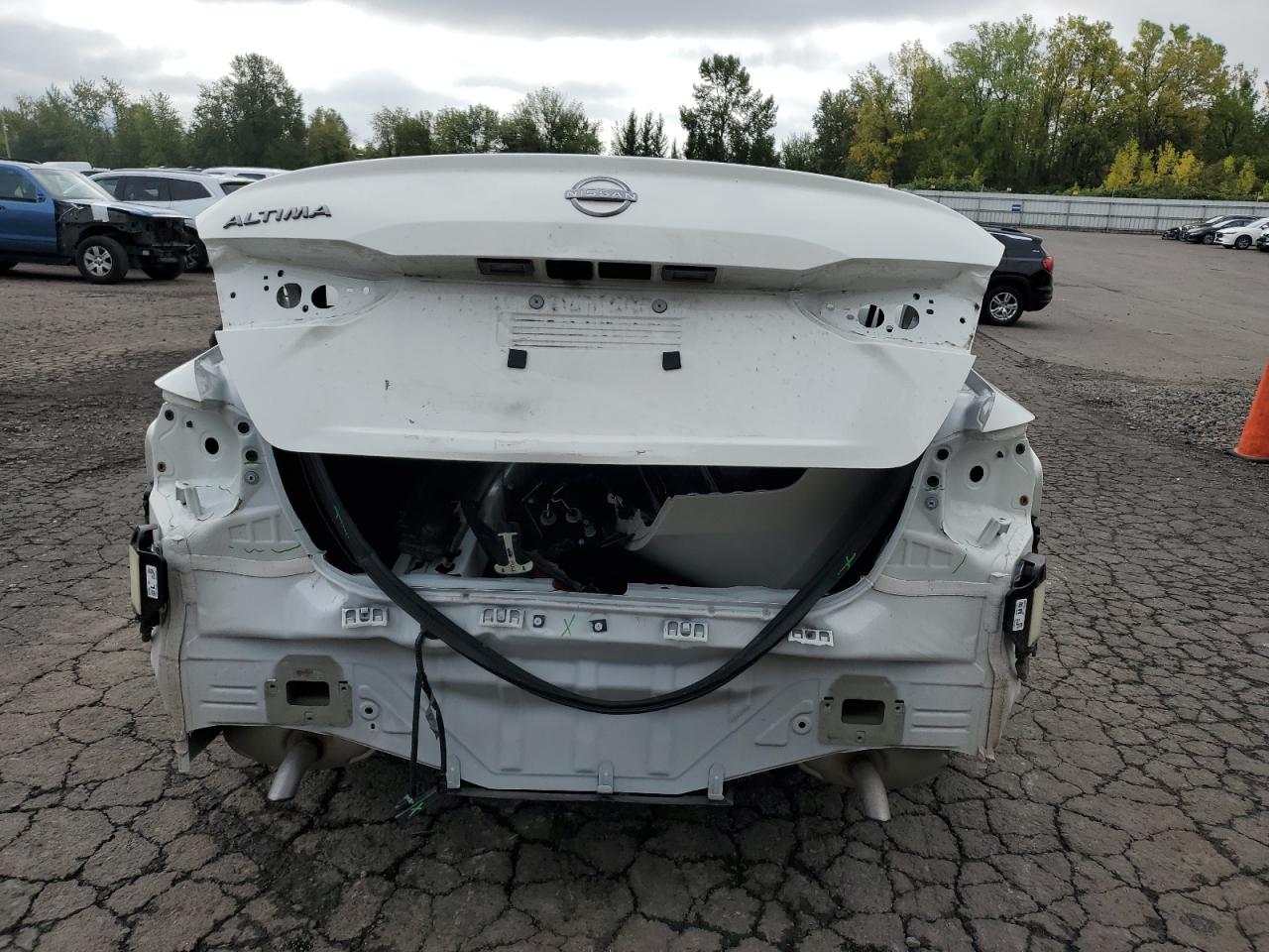 2025 Nissan Altima Sv VIN: 1N4BL4DV8SN392668 Lot: 85336555