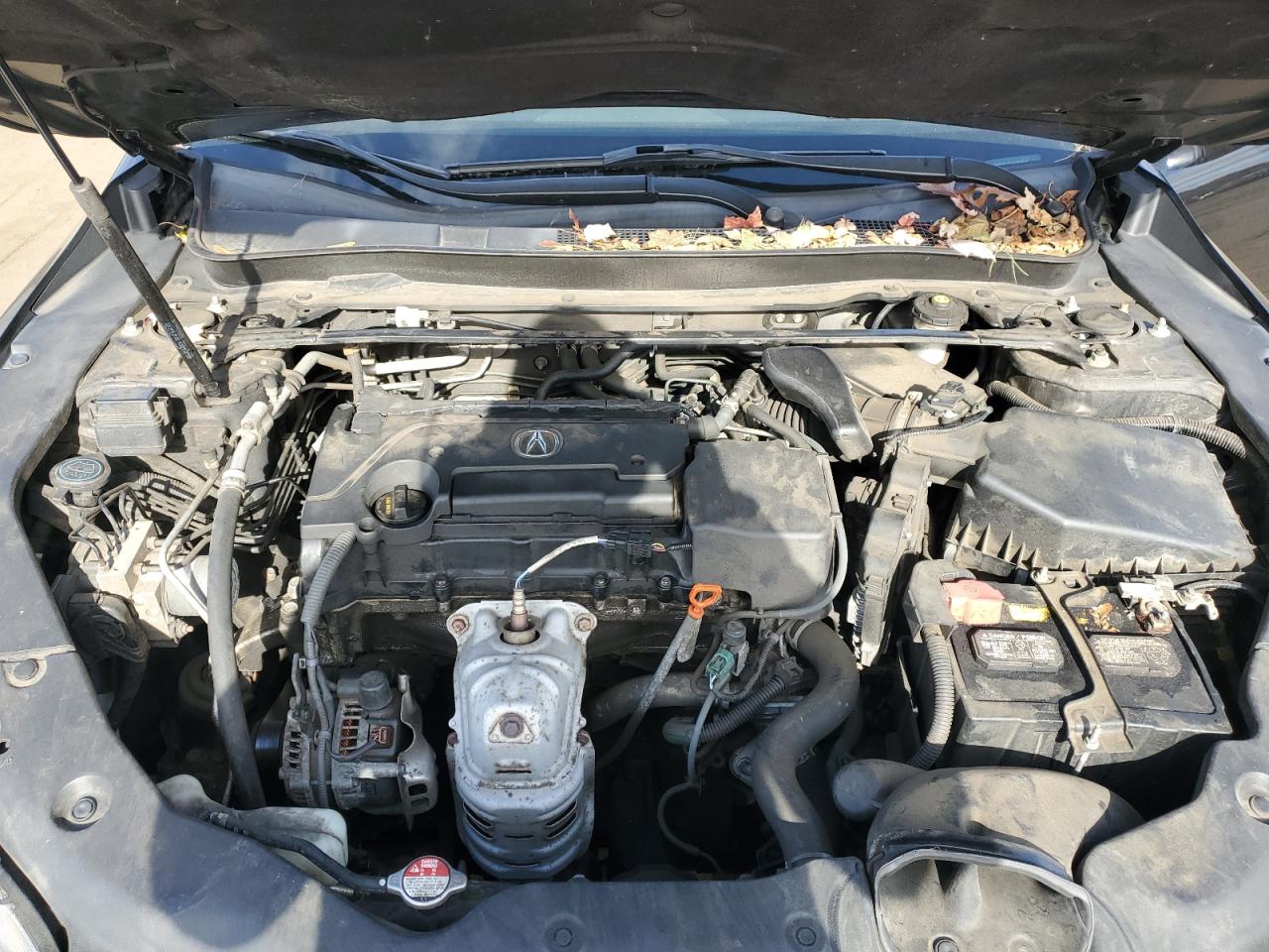 2015 Acura Tlx VIN: 19UUB1F33FA014224 Lot: 90426665