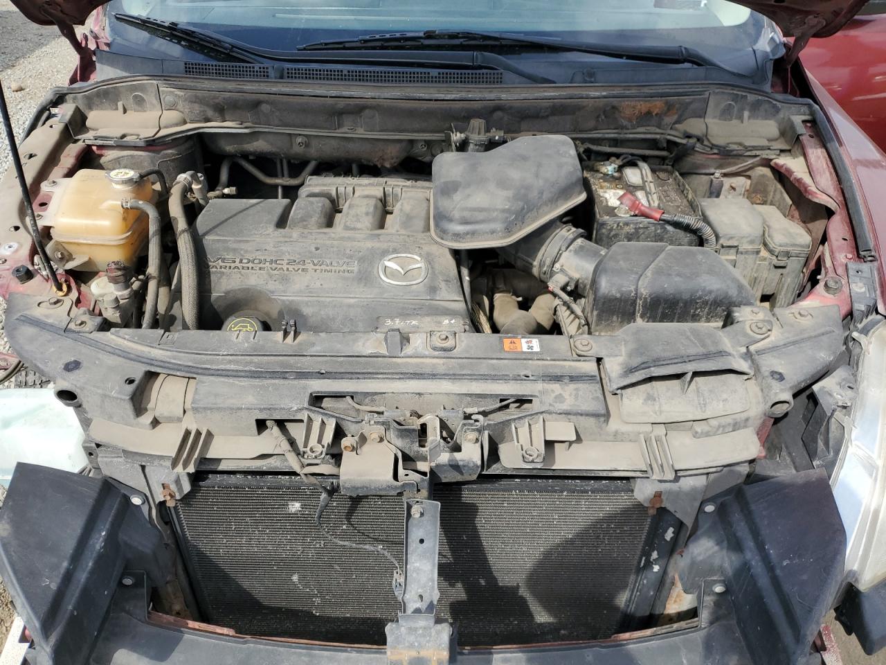 2010 Mazda Cx-9 VIN: JM3TB2MA3A0234521 Lot: 85937065