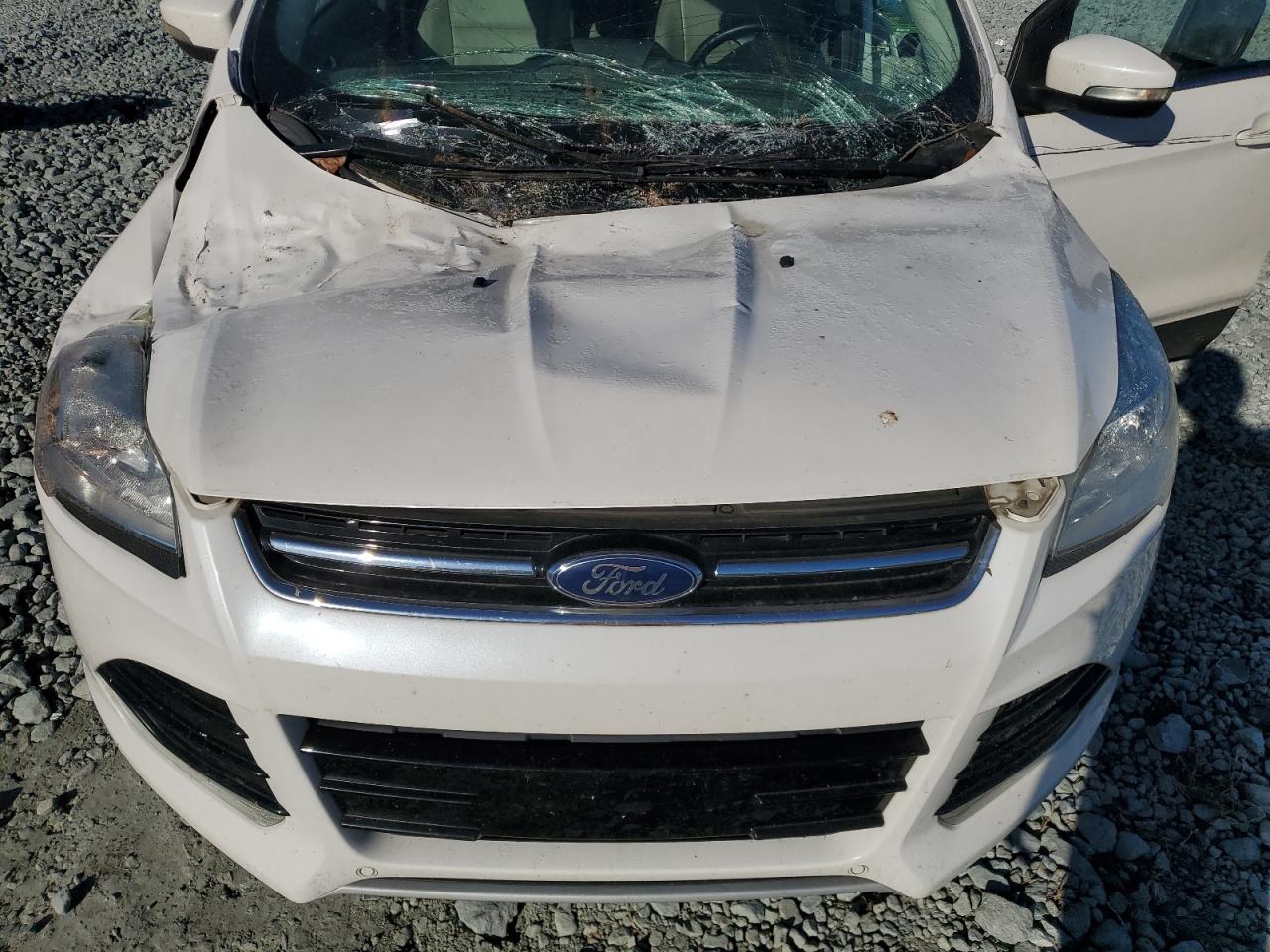 2013 Ford Escape Sel VIN: 1FMCU0H94DUD90681 Lot: 85119765