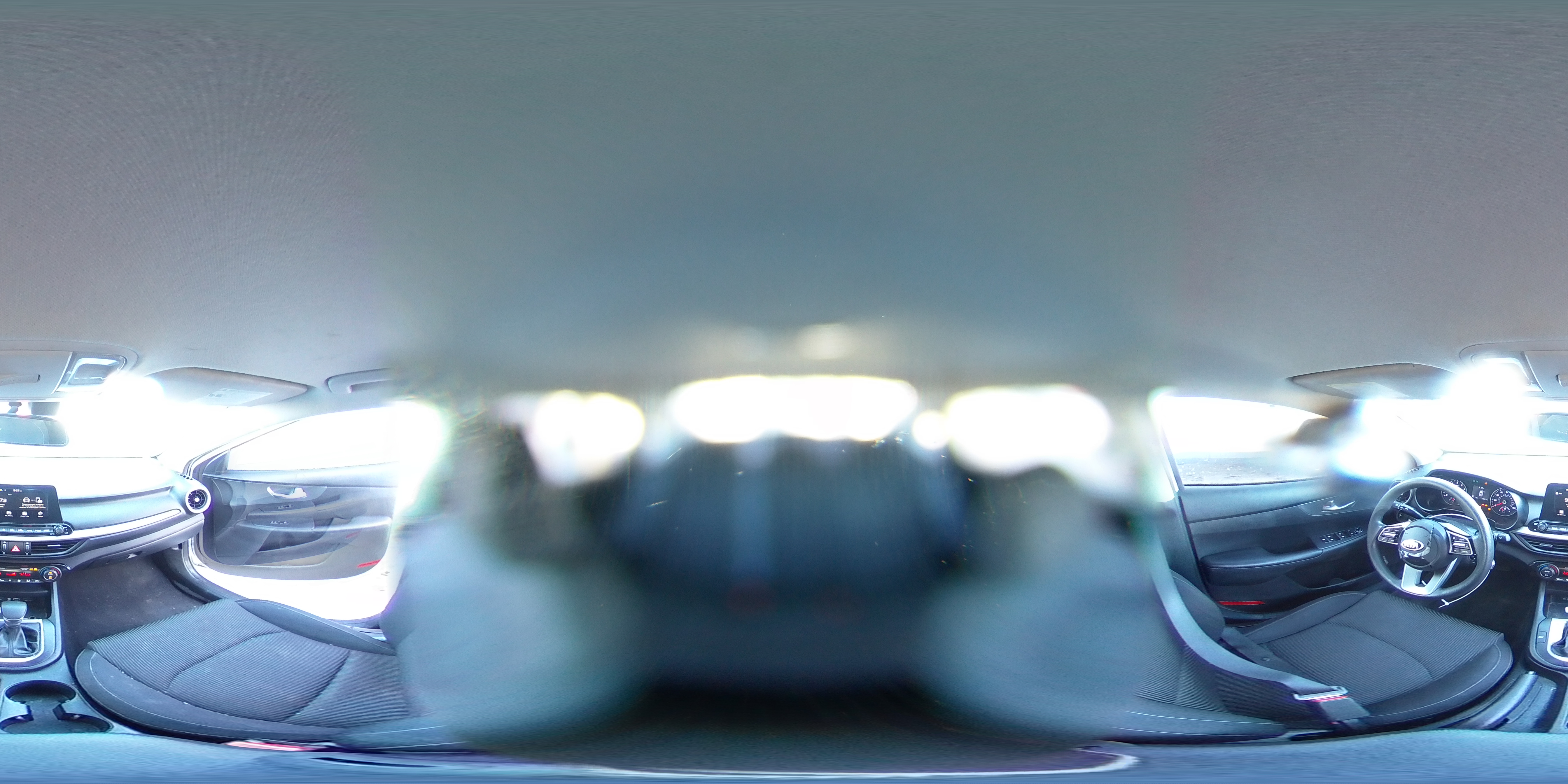 2019 Kia Forte Fe VIN: 3KPF24ADXKE024166 Lot: 81596485