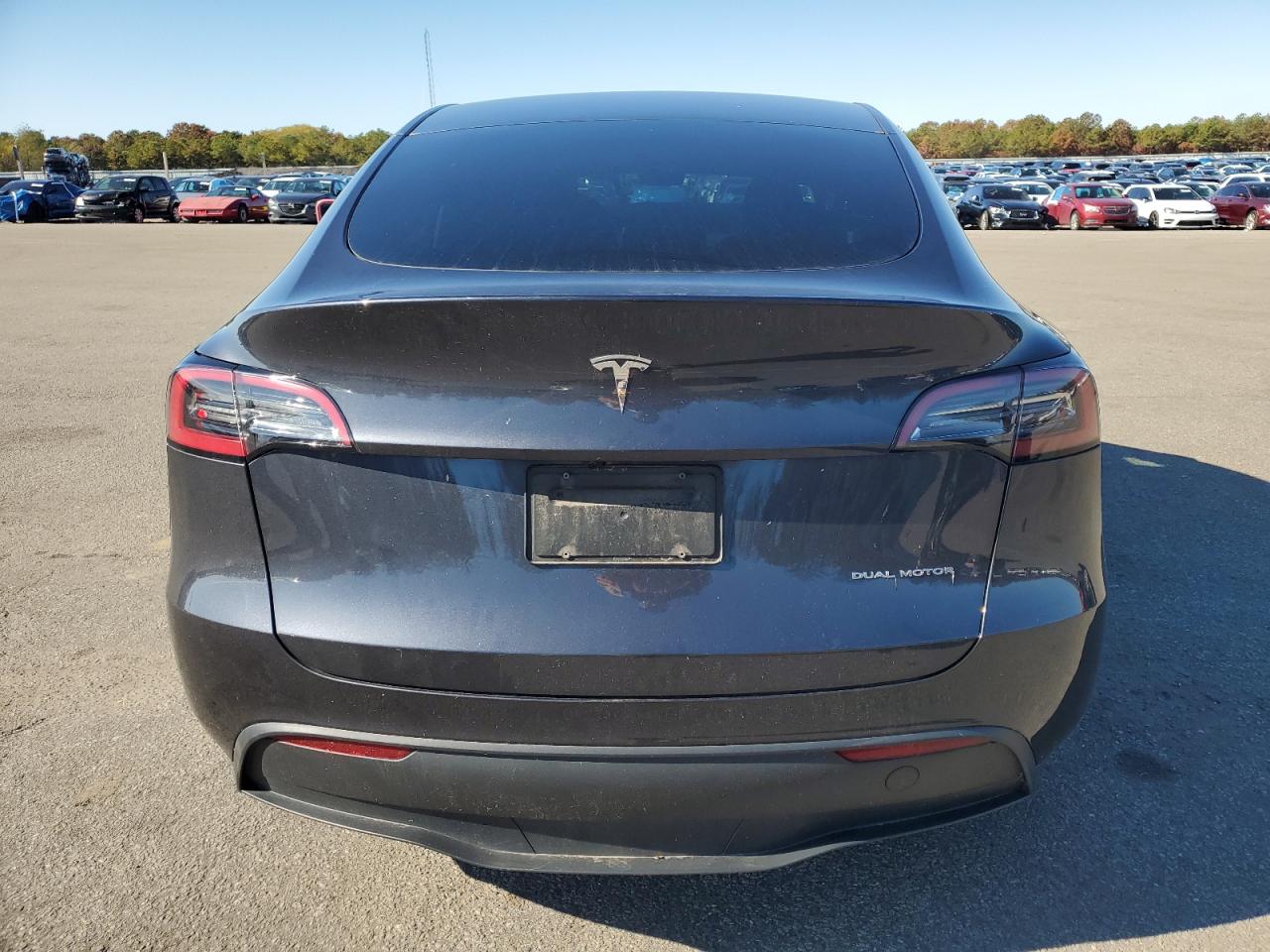 2024 Tesla Model Y VIN: 7SAYGDEE0RA275764 Lot: 82629045
