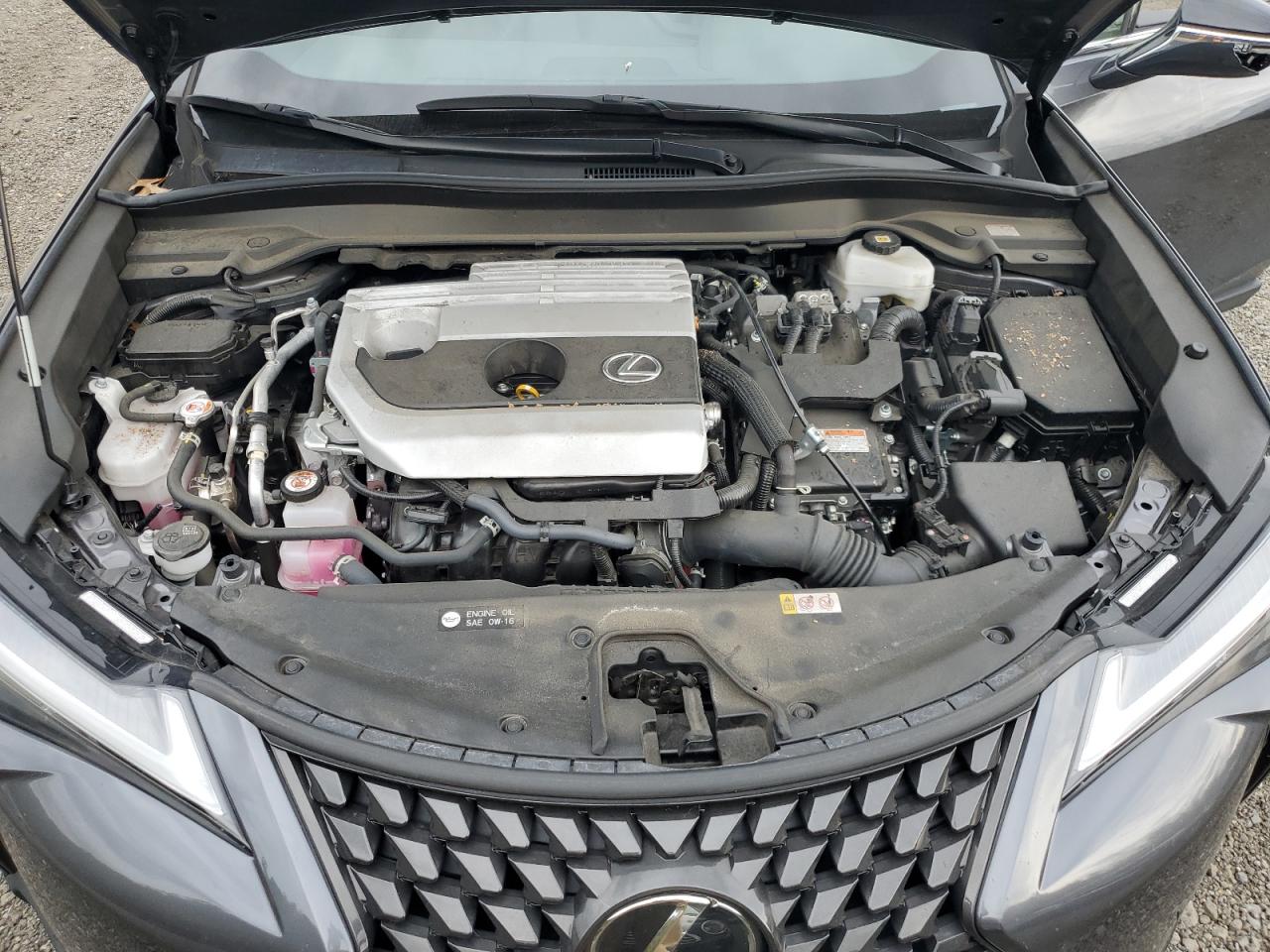 2023 Lexus Ux 250H Premium VIN: JTHP9JBH0P2068339 Lot: 81981305