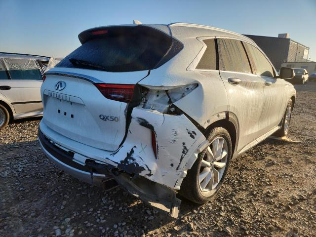  INFINITI QX50 2019 Белы
