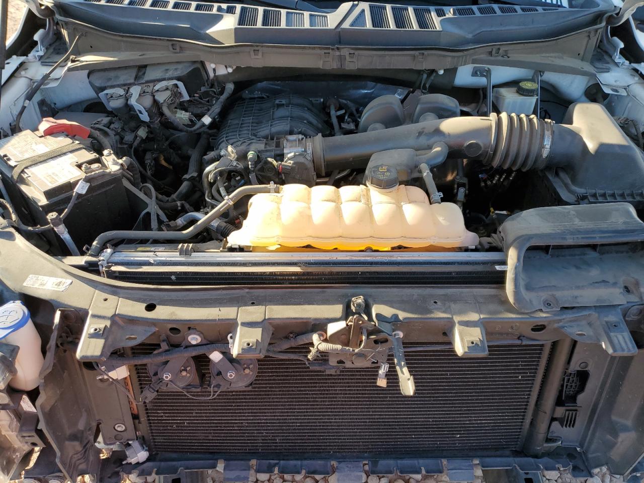 2021 Ford F150 VIN: 1FTMF1CB5MKE25386 Lot: 91023565