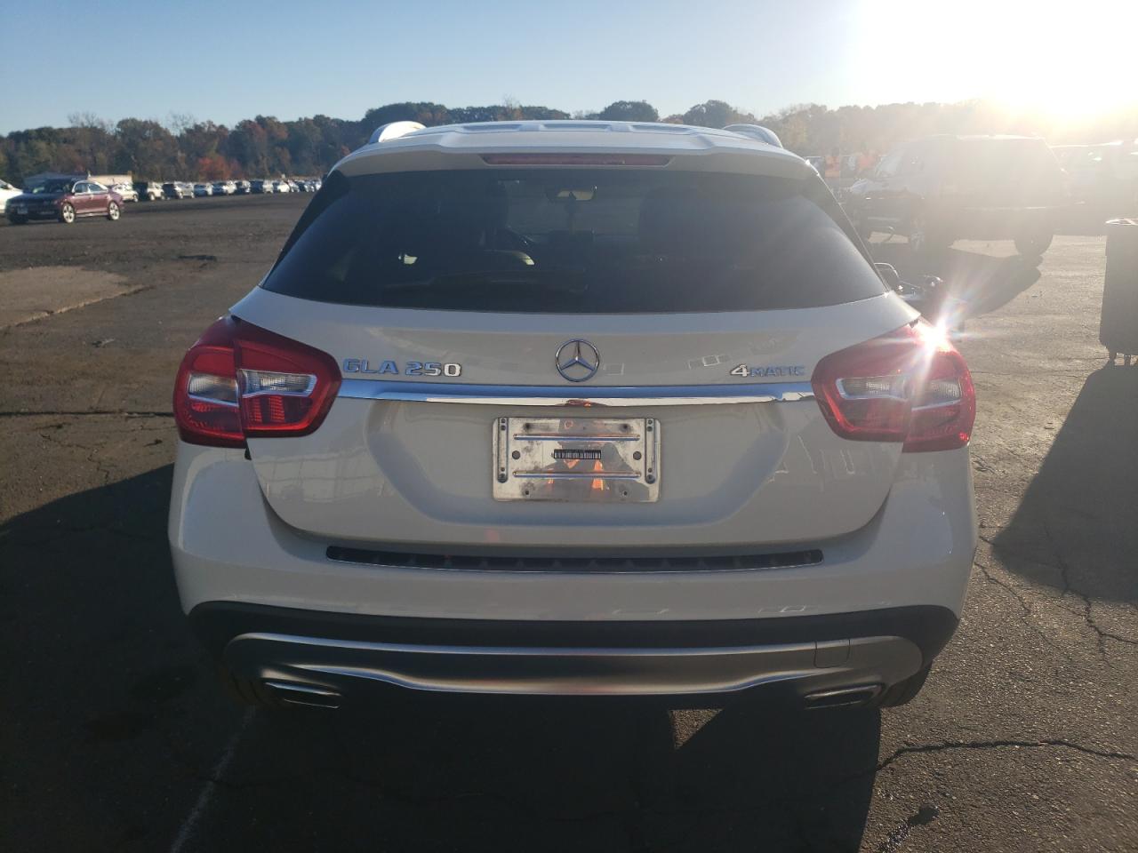 2017 Mercedes-Benz Gla 250 4Matic VIN: WDCTG4GB0HJ289985 Lot: 82601165