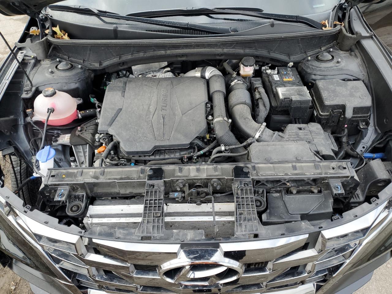 2024 Hyundai Santa Cruz Night VIN: 5NTJCDAFXRH094766 Lot: 90694565