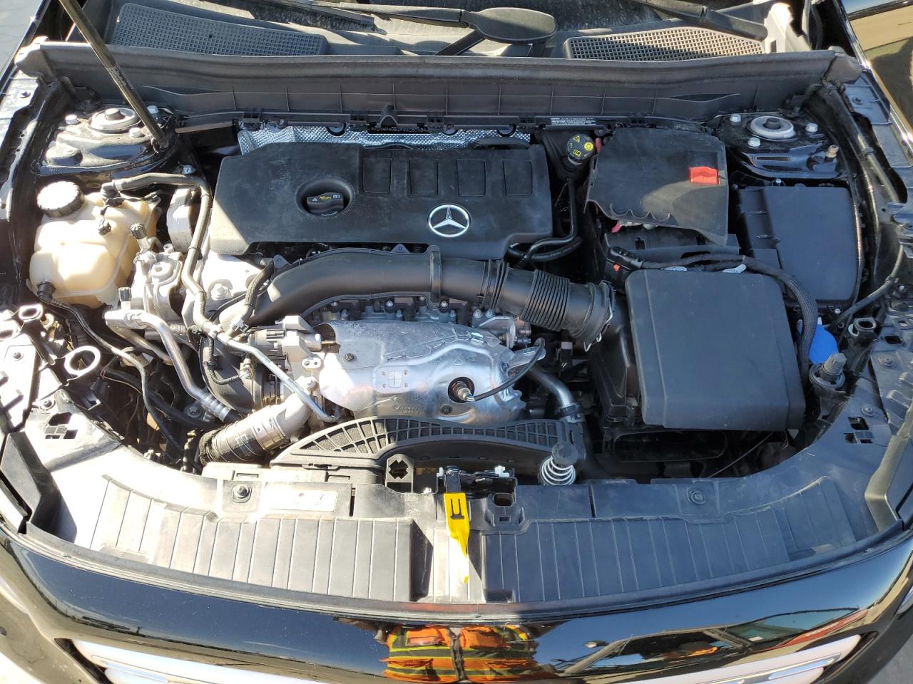 Фото: W1N4M4GB1PW318049