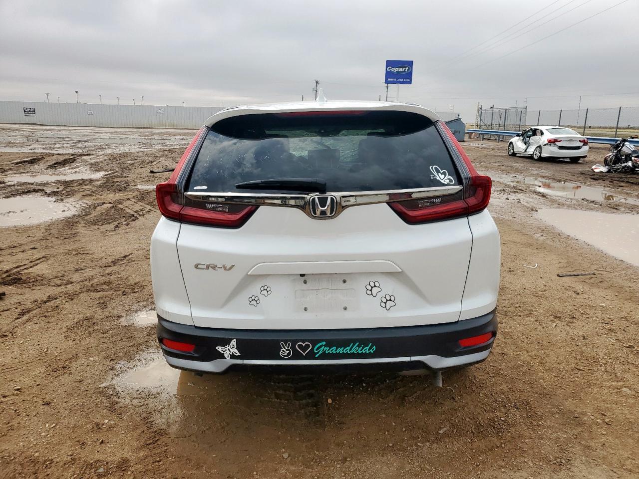 2022 Honda Cr-V Ex VIN: 7FARW1H55NE007809 Lot: 85005045