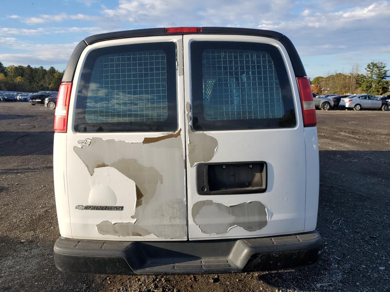 2010 Chevrolet Express G1500 VIN: 1GCUGADX0A1139017 Lot: 86405765