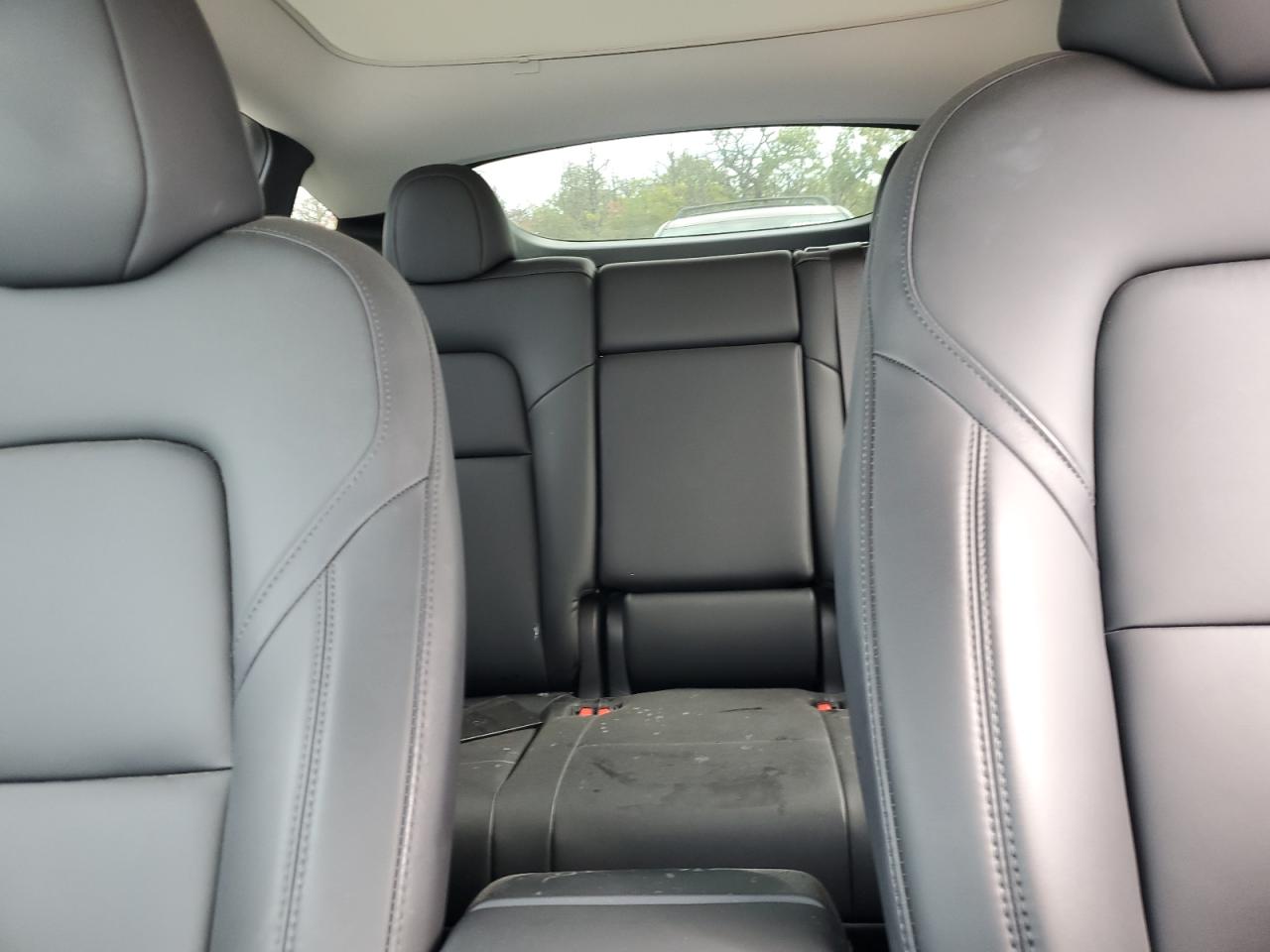 2024 Tesla Model Y VIN: 7SAYGDEE0RA259497 Lot: 86121355