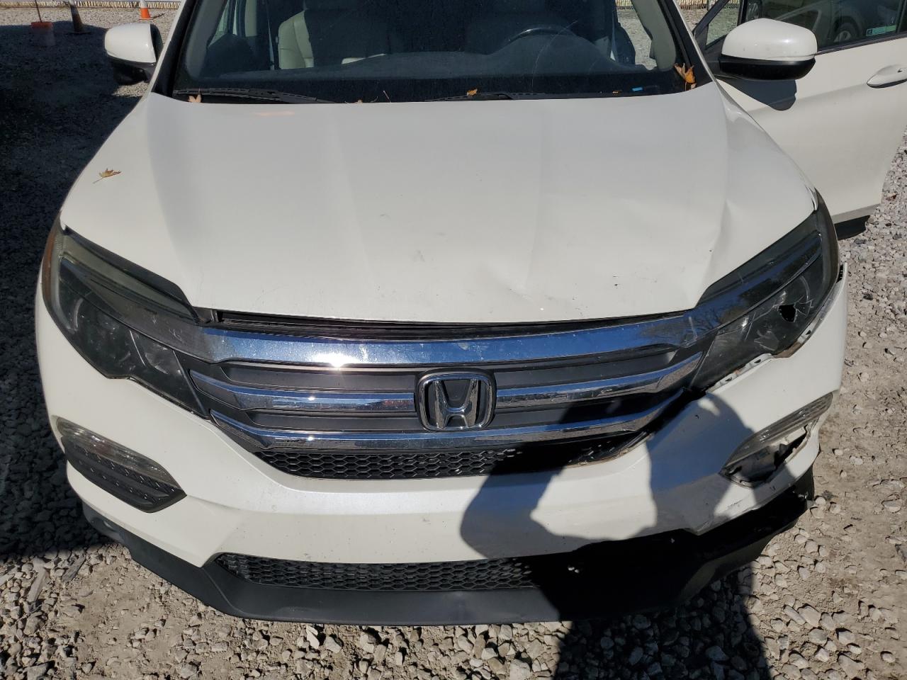 2018 Honda Pilot Exl VIN: 5FNYF5H51JB029718 Lot: 86492085