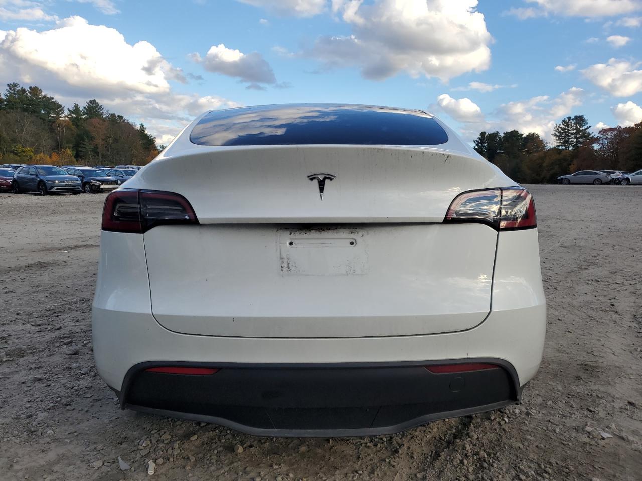2025 Tesla Model Y VIN: 7SAYGDED6SF319251 Lot: 82600045