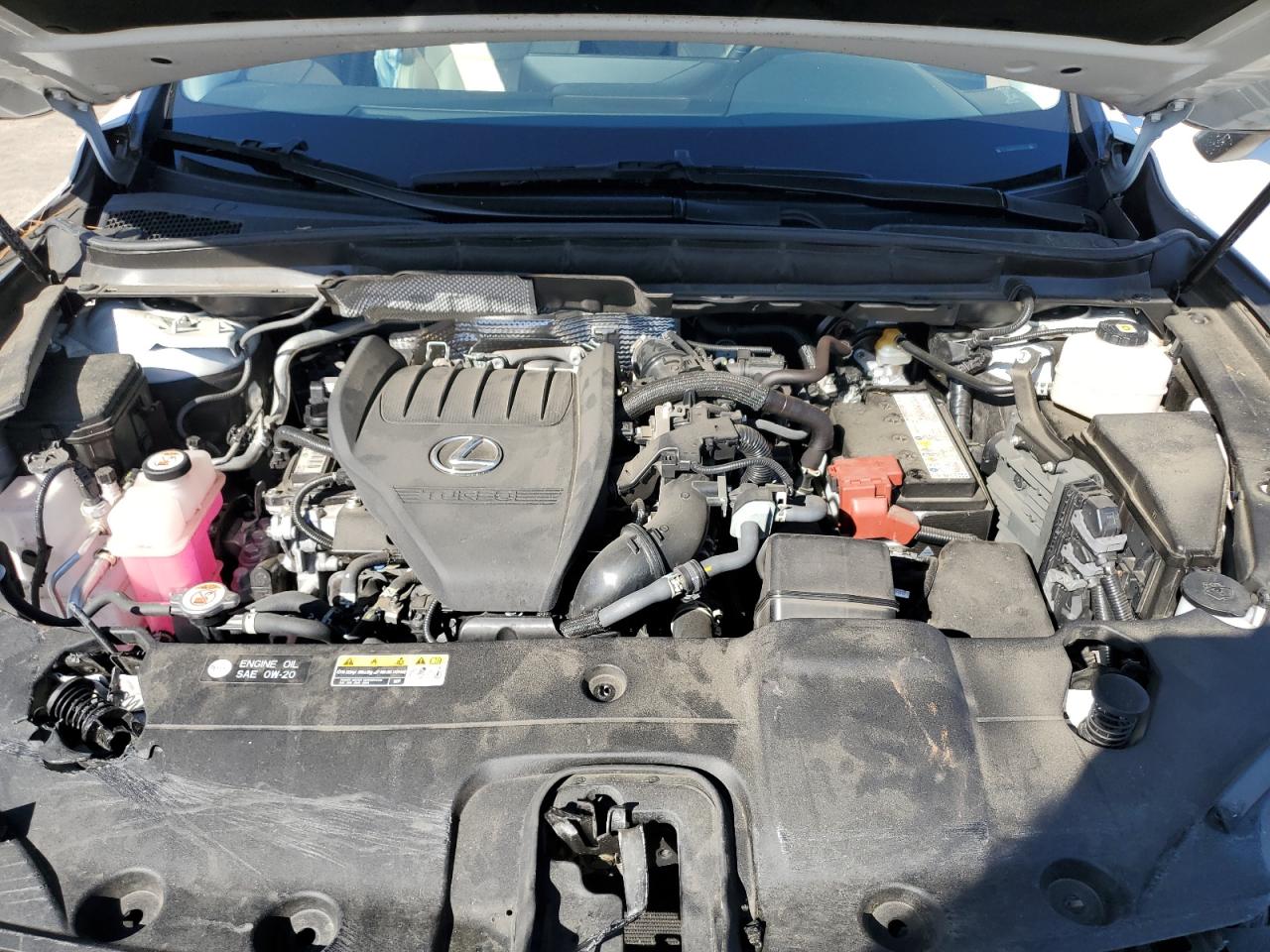 2023 Lexus Rx 350 Premium VIN: JTJCHMAA7P2005065 Lot: 82202445