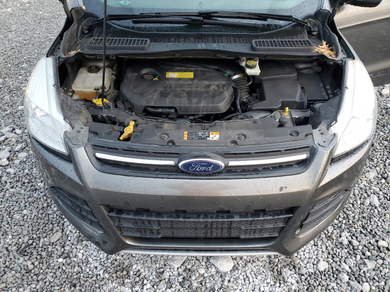 2014 Ford Escape Se VIN: 1FMCU0GX9EUB84032 Lot: 87092165