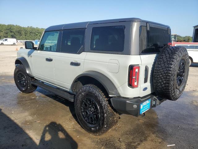  FORD BRONCO WIL 2024 Серый