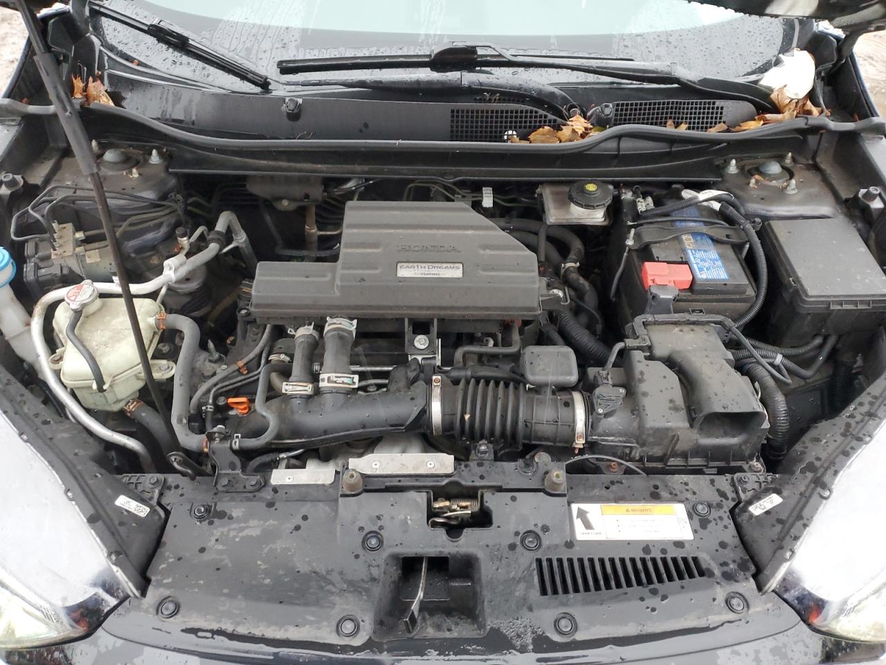 2020 Honda Cr-V Exl VIN: 5J6RW2H80LL035436 Lot: 89801815