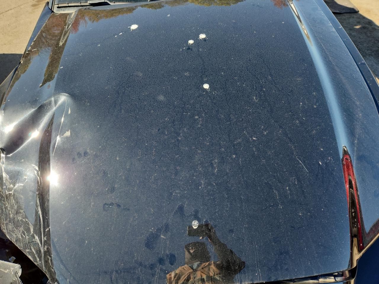 2013 Ford Mustang VIN: 1ZVBP8EM5D5225714 Lot: 90223505