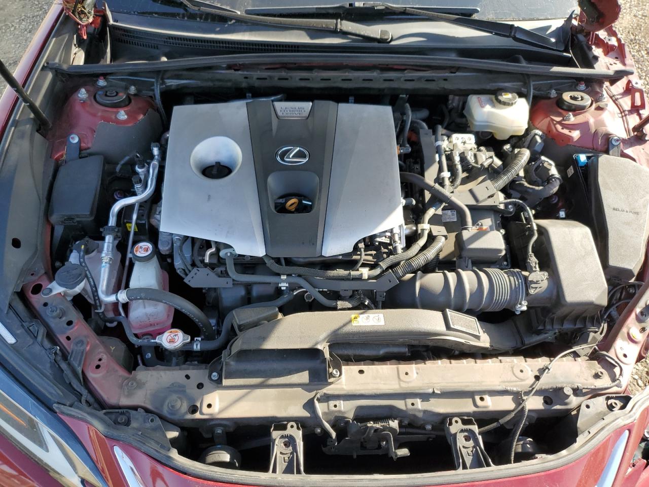 2021 Lexus Es 300H Luxury VIN: 58AEA1C11MU009953 Lot: 80515145