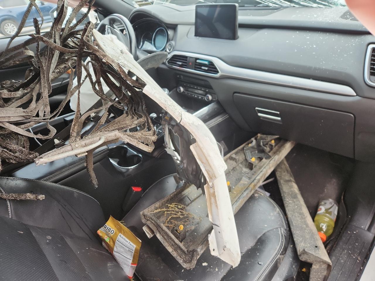 2020 Mazda Cx-9 Grand Touring VIN: JM3TCBDY9L0409299 Lot: 86218585