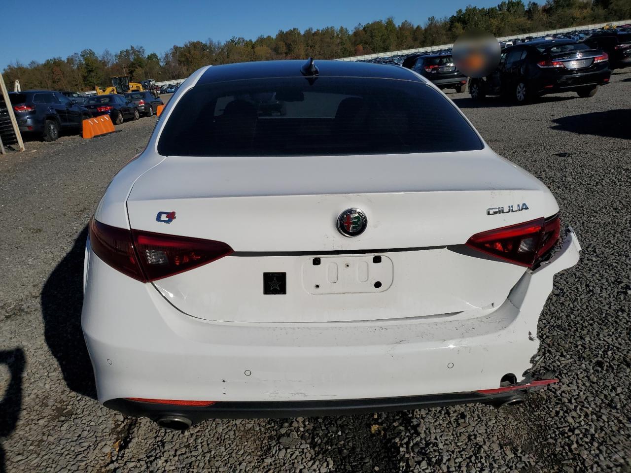 2020 Alfa Romeo Giulia Ti VIN: ZARFANBN6L7626375 Lot: 87395545