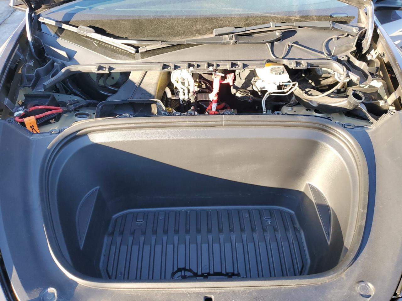 2023 Tesla Model Y VIN: 7SAYGDEE0PF846993 Lot: 87112405