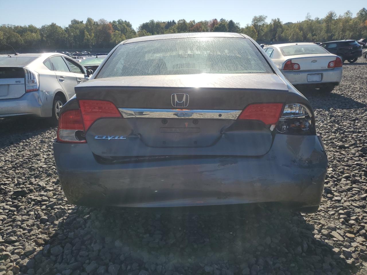 2010 Honda Civic Lx VIN: 2HGFA1F52AH584125 Lot: 84719265