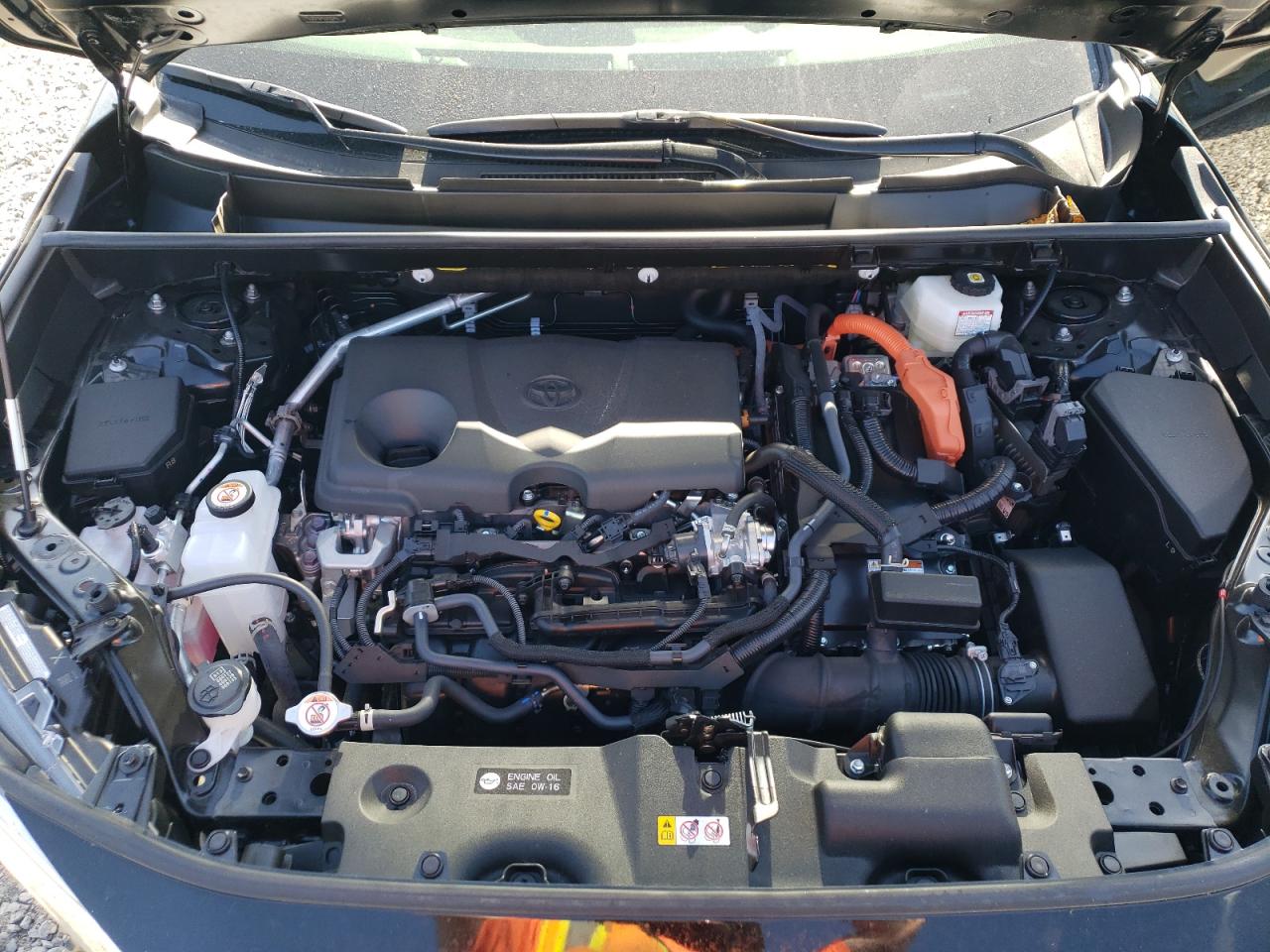 2025 Toyota Rav4 Le VIN: JTMLWRFV0SD299388 Lot: 84951985