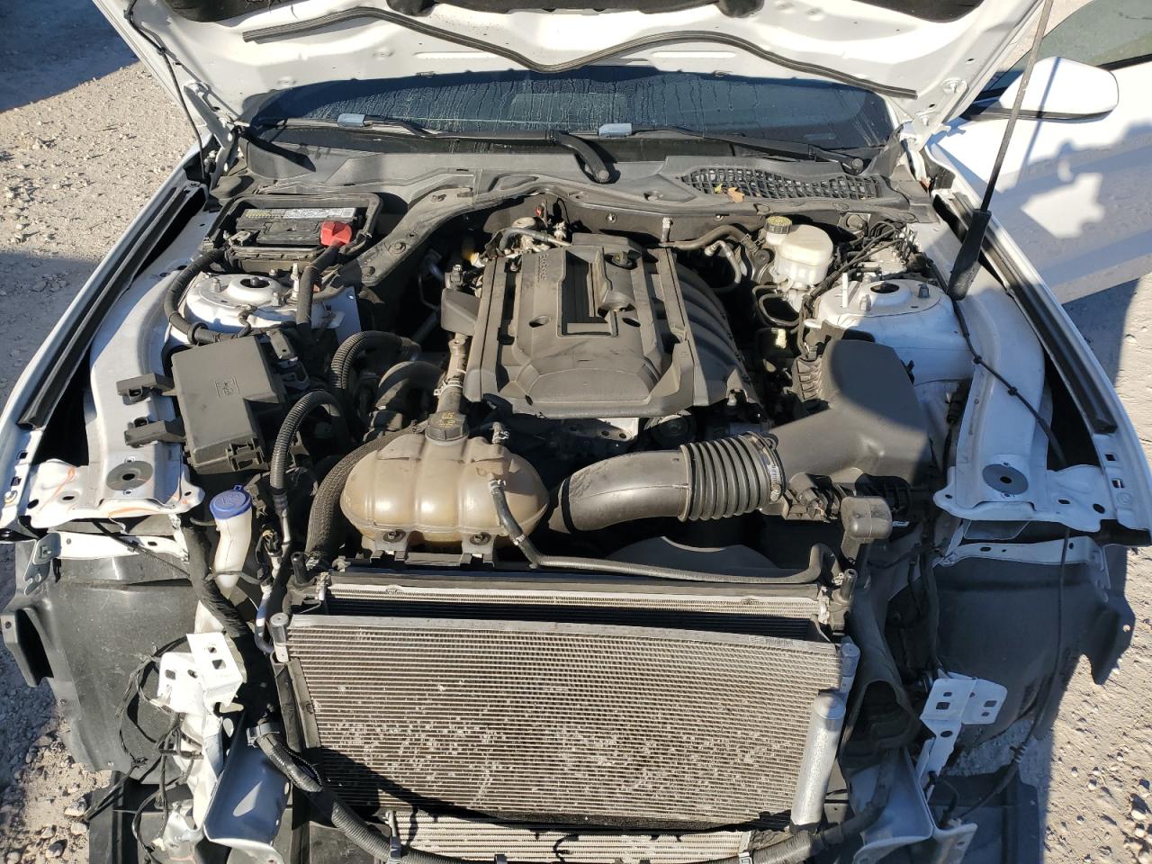 2020 Ford Mustang VIN: 1FA6P8TH2L5130672 Lot: 89514335