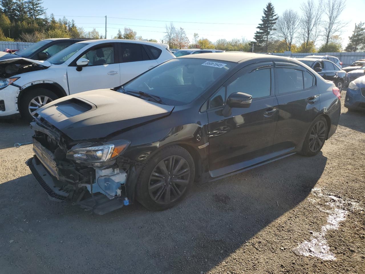 2021 Subaru Wrx Premium