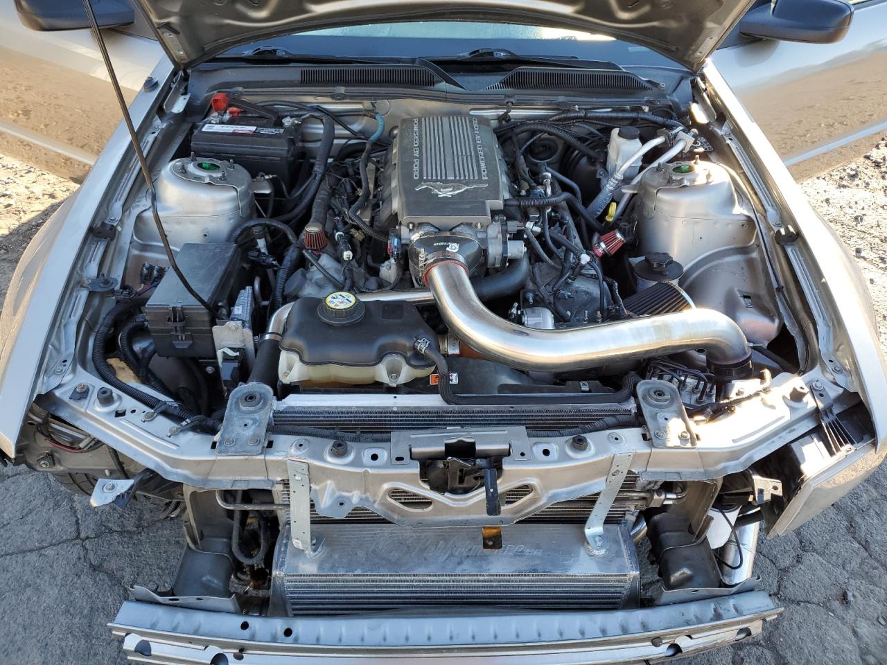 2009 Ford Mustang Gt VIN: 1ZVHT82H395141587 Lot: 82332075