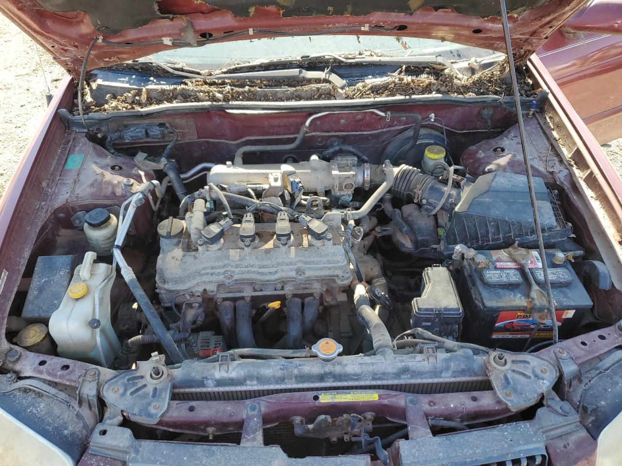 2005 Nissan Sentra 1.8 VIN: 3N1CB51D65L503566 Lot: 85648575