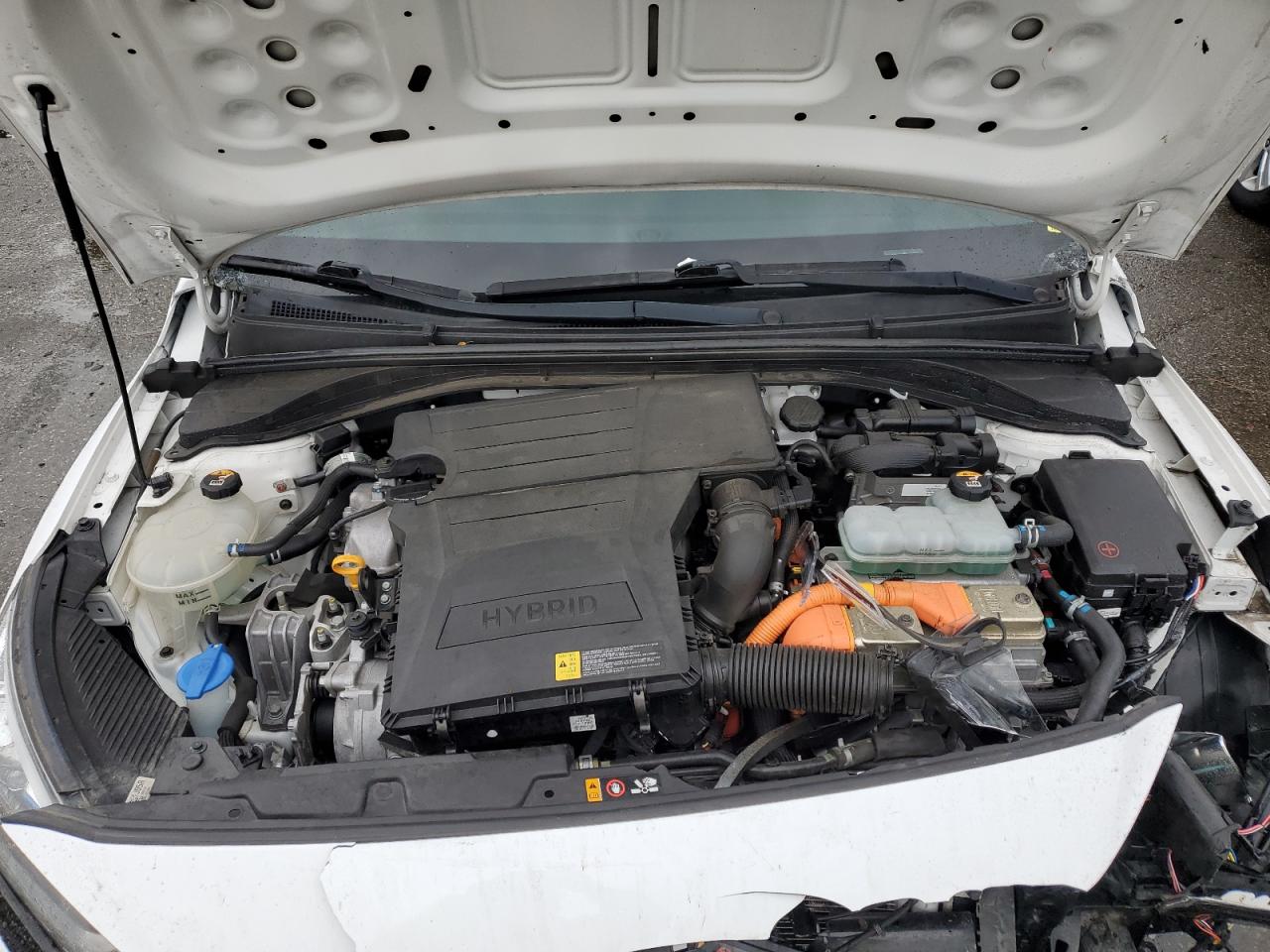 2019 Hyundai Ioniq Blue VIN: KMHC65LC2KU144283 Lot: 91197845