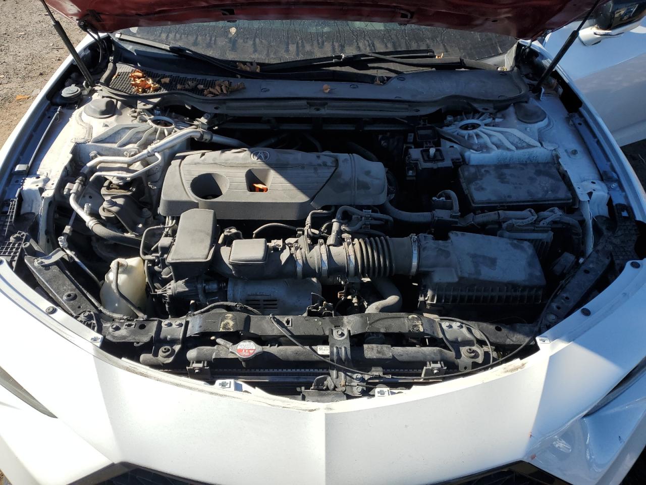 2021 Acura Tlx Tech A VIN: 19UUB6F58MA008057 Lot: 82384295