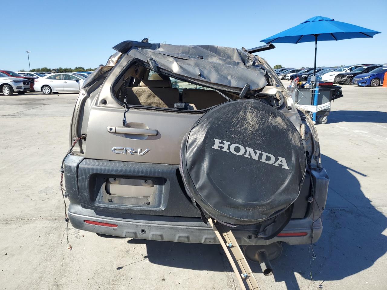 2006 Honda Cr-V Ex VIN: JHLRD78816C006012 Lot: 87436225