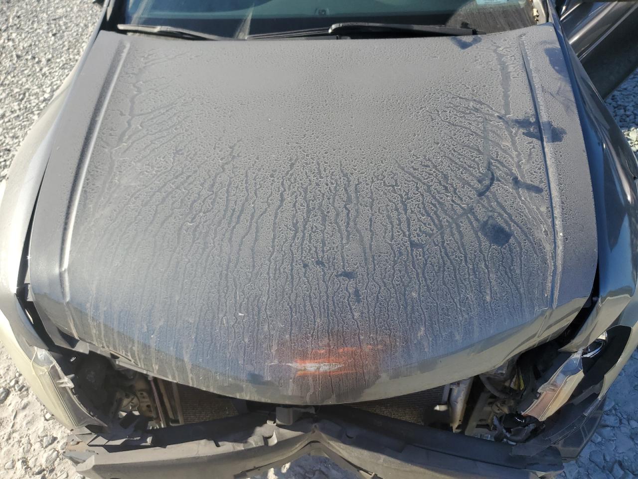 2009 Honda Accord Exl VIN: 1HGCP36869A046898 Lot: 84698885