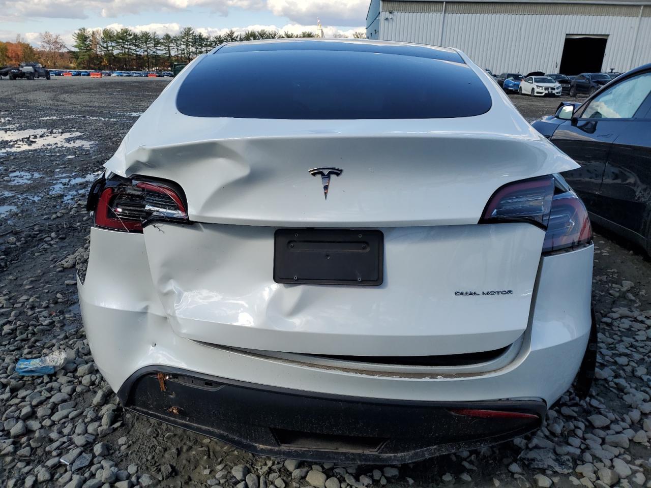 2023 Tesla Model Y VIN: 7SAYGDEE5PF684178 Lot: 82618885