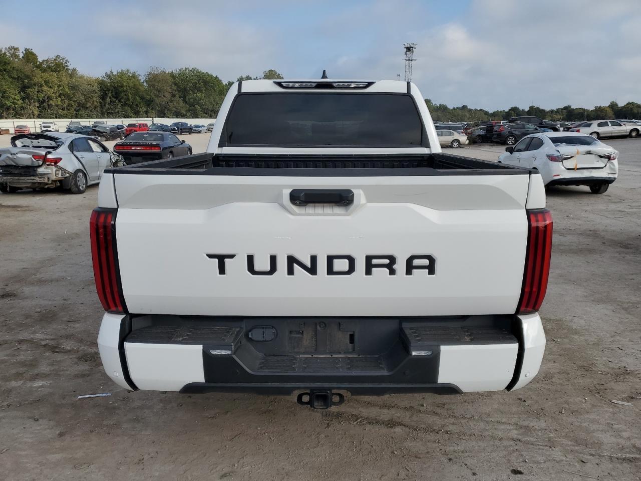 2022 Toyota Tundra Crewmax Limited VIN: 5TFJA5AB0NX010301 Lot: 80549285