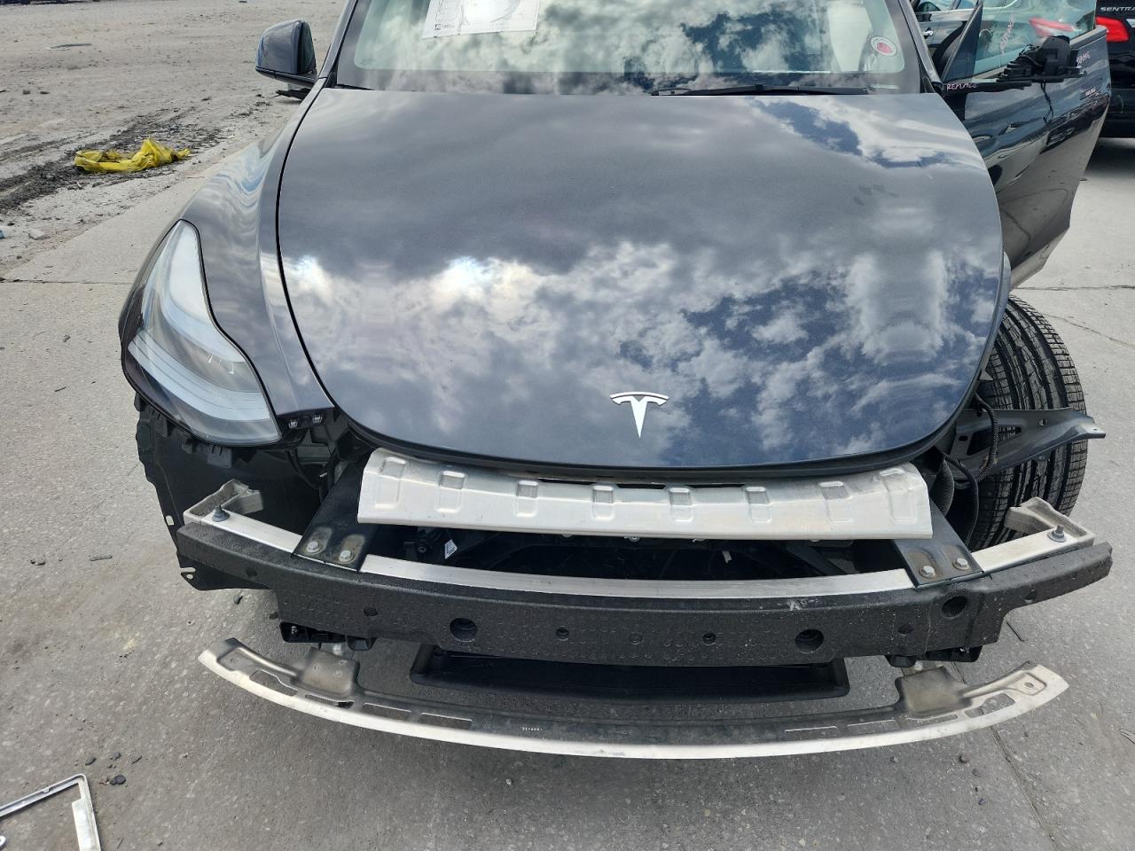 2025 Tesla Model Y VIN: 7SAYGDEE0SA342305 Lot: 81960365