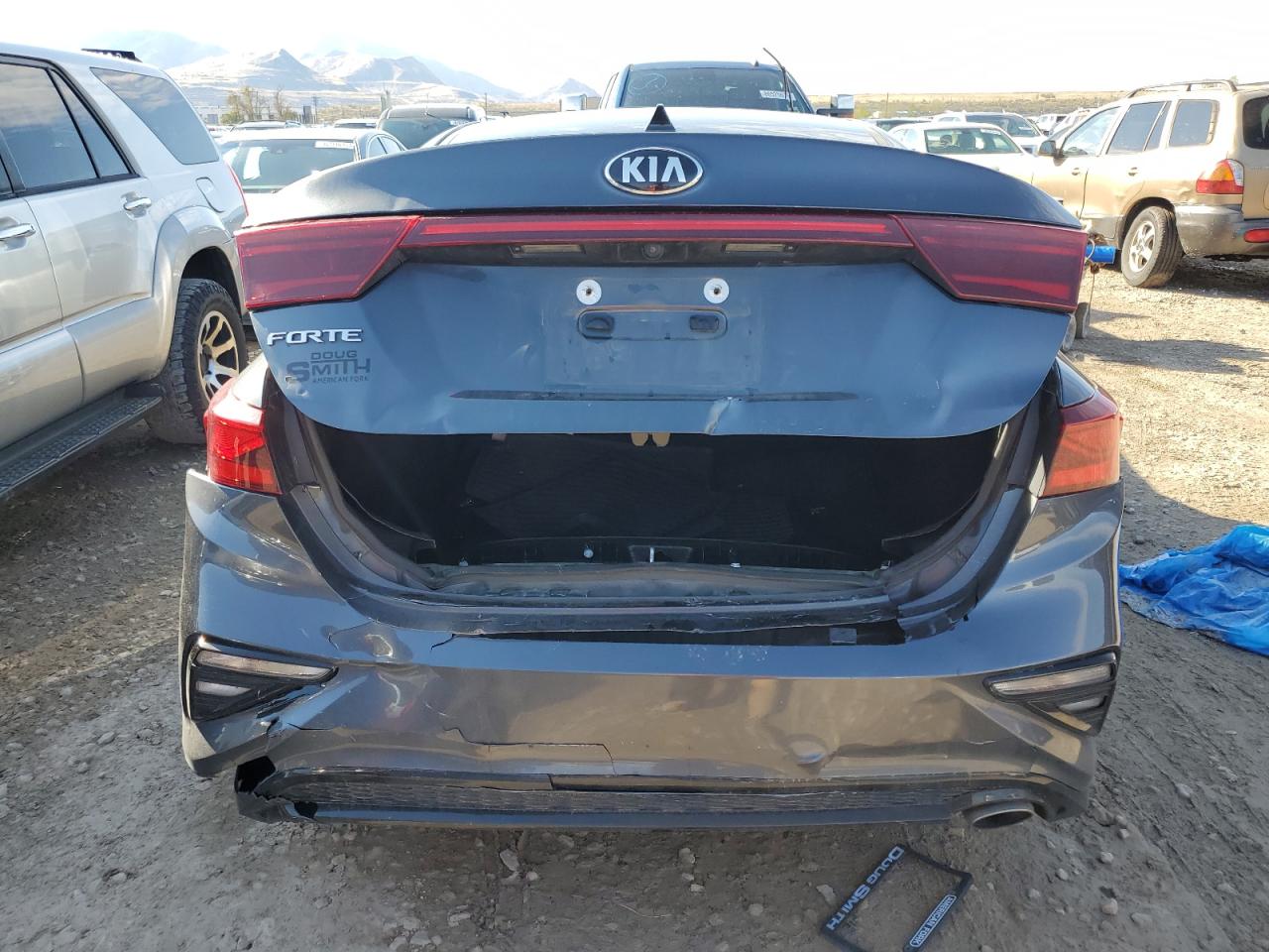 2020 Kia Forte Fe VIN: 3KPF24AD5LE156625 Lot: 87269945