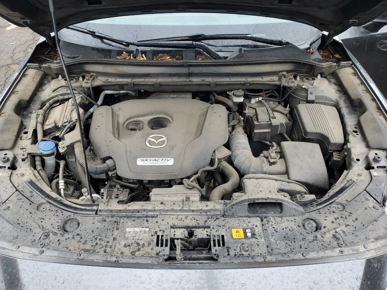 2019 Mazda Cx-5 Signature VIN: JM3KFBEY5K0582592 Lot: 85921375