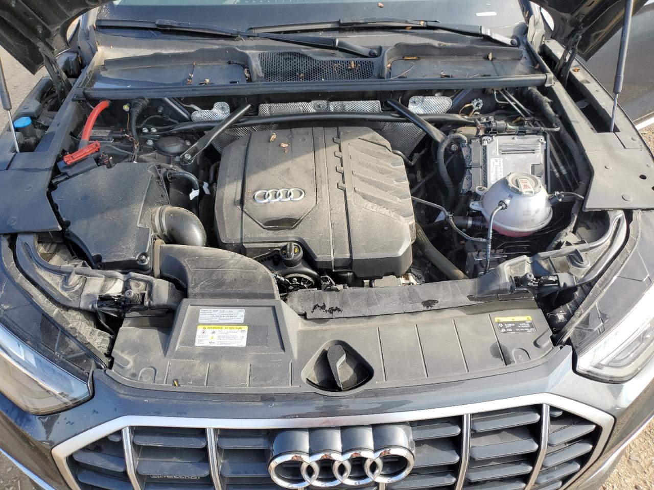 2023 Audi Q5 Premium Plus 40 VIN: WA1BBAFY8P2174915 Lot: 86698255